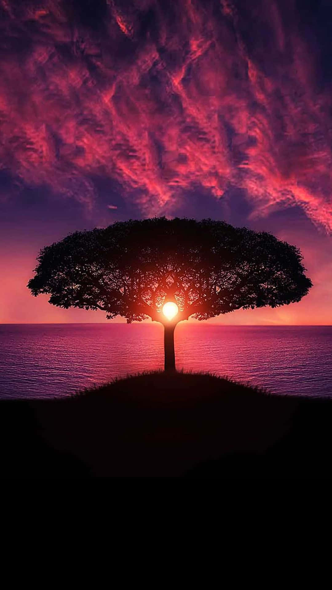 Tree Silhouette In Sunset Sky Colorful 4k Phone Wallpaper