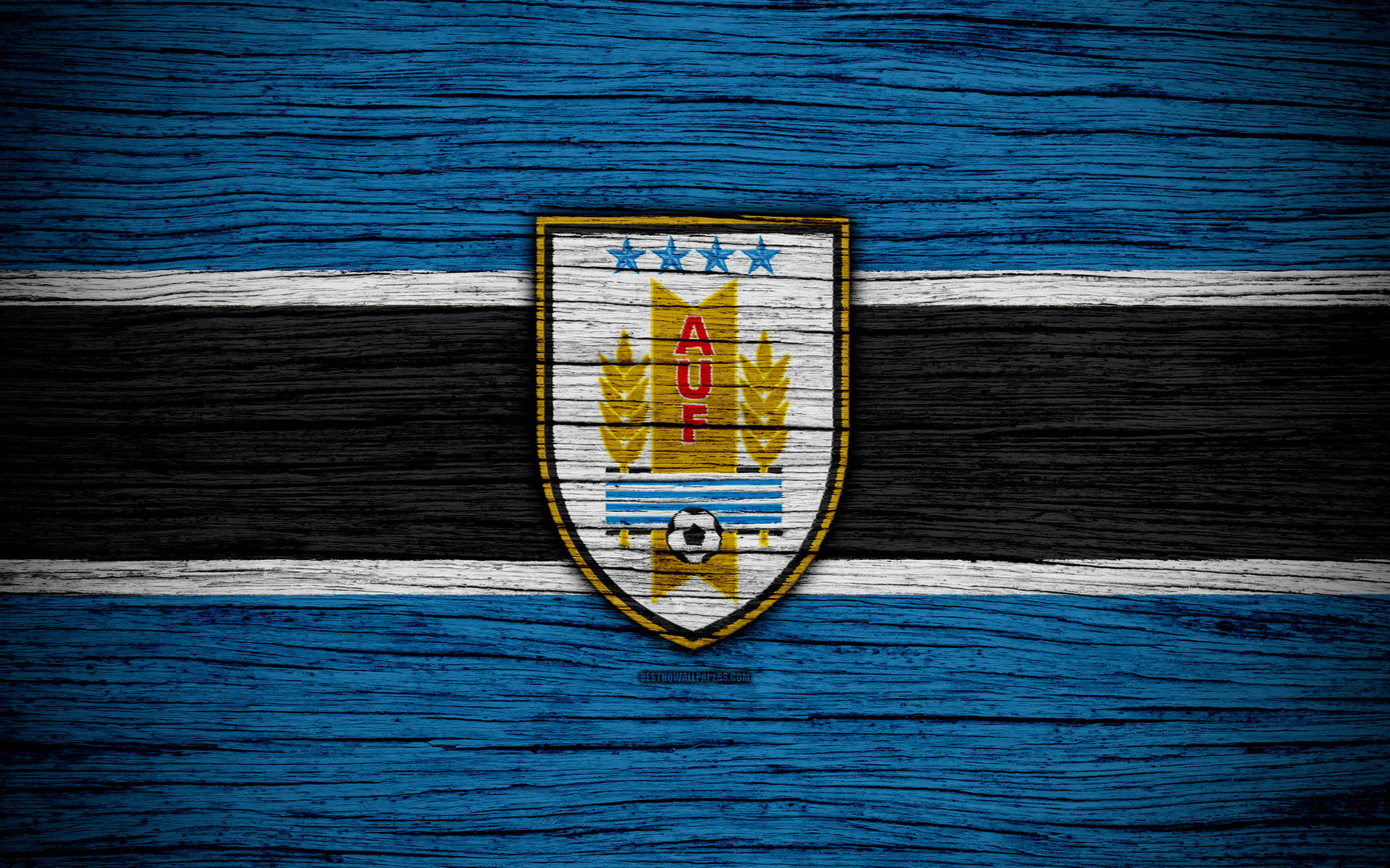 Uruguay Football Logo Wood Art Wallpaper
