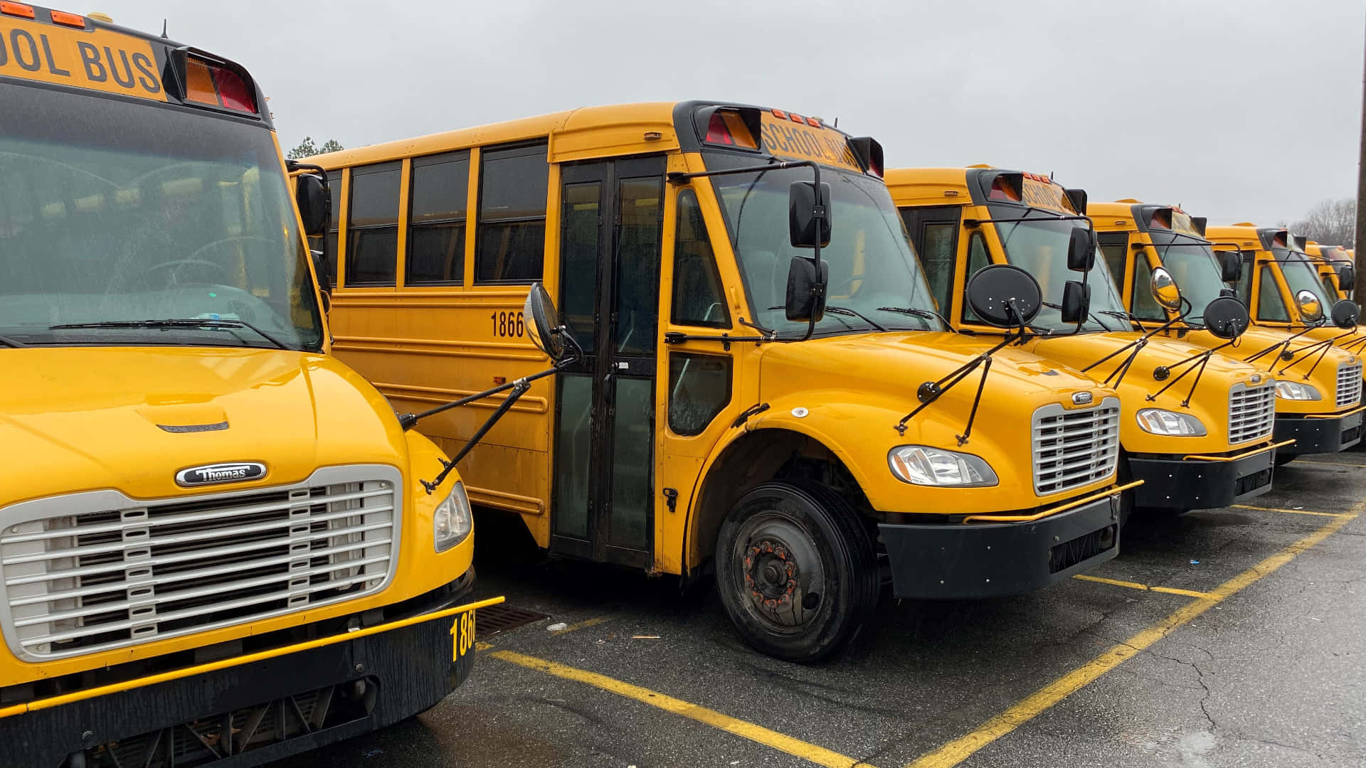 Line of Parked School Buses Wallpaper