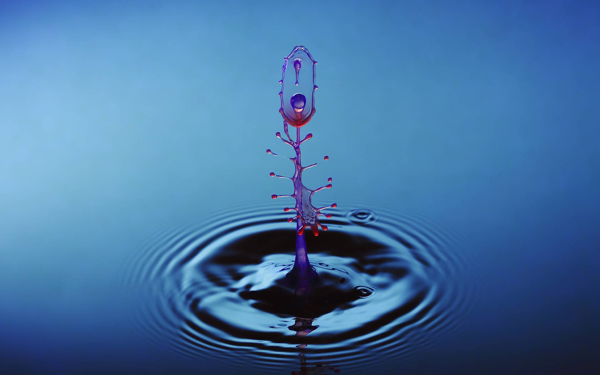 Water Droplet Live 3d Wallpaper