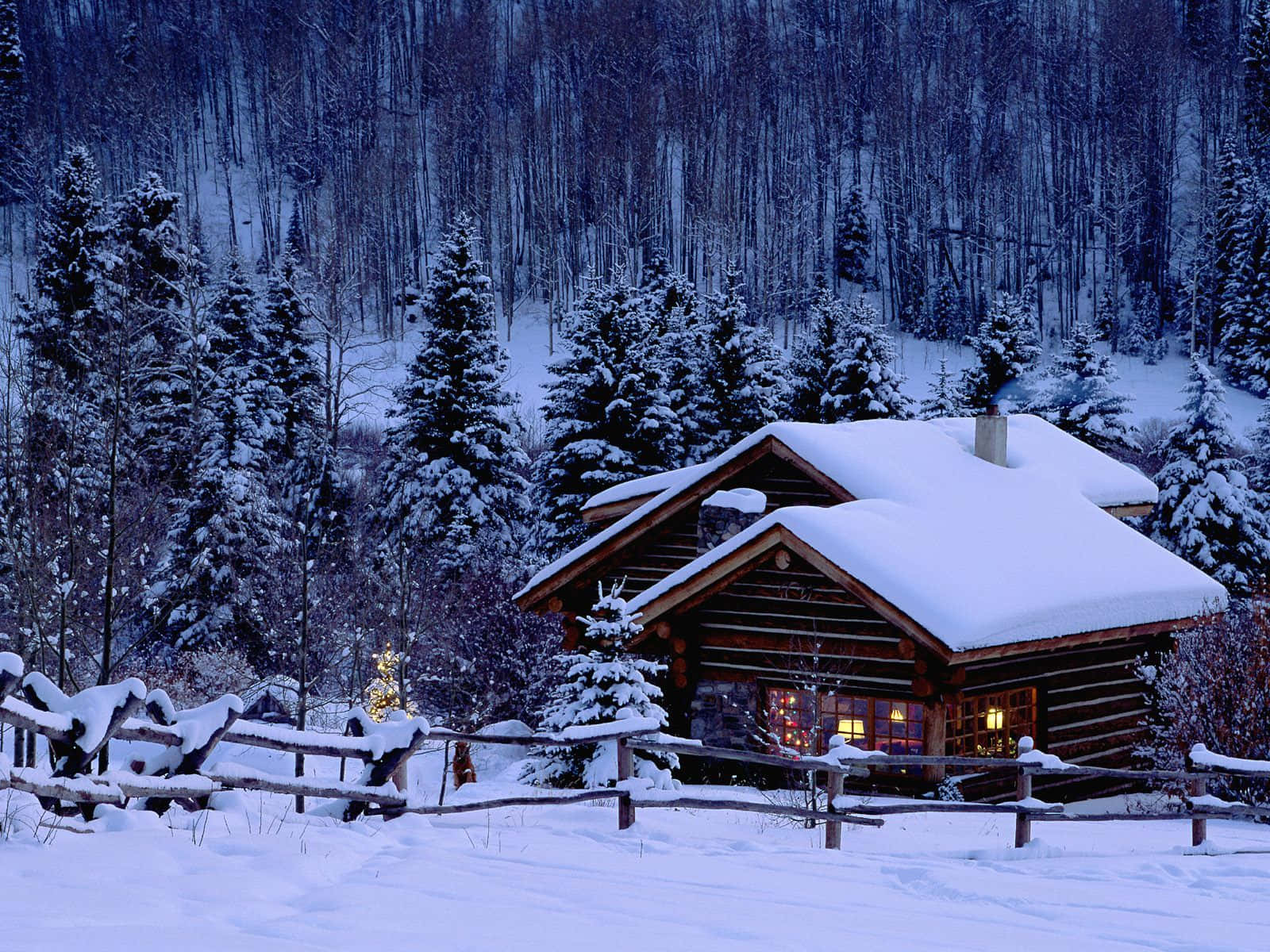 Breathtaking Winter Wonderland