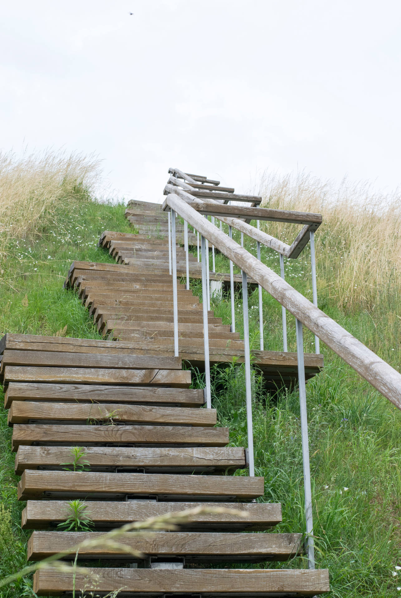 Wooden Staircase Surrounded By Grass In Lithuania Wallpaper